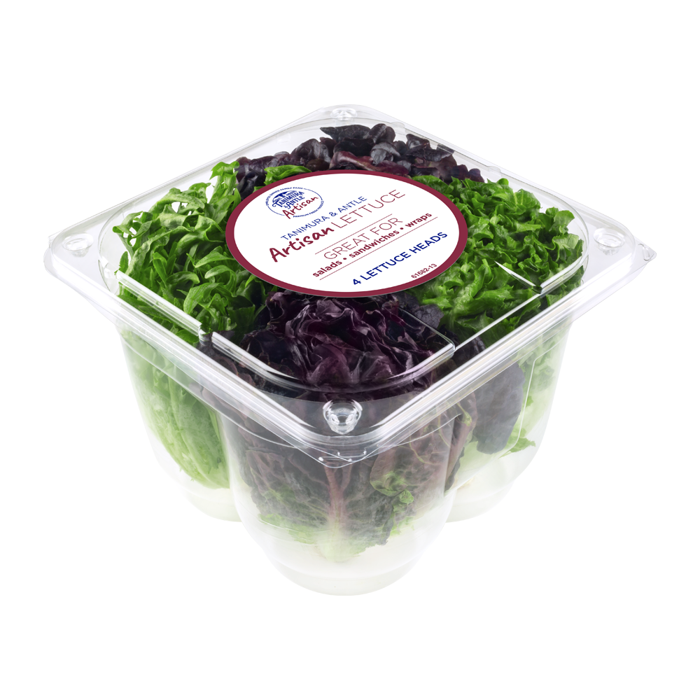 artisan romaine lettuce artisan romaine lettuce