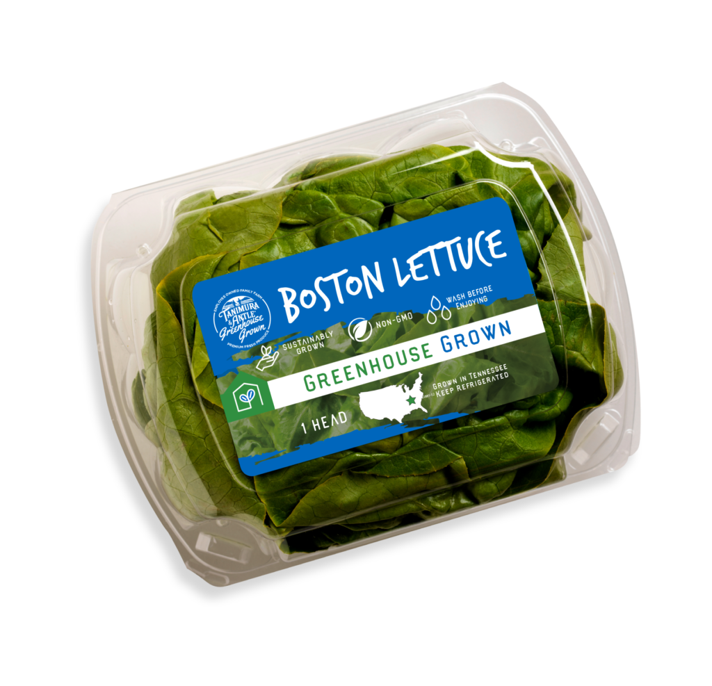 Boston Lettuce Tanimura & Antle