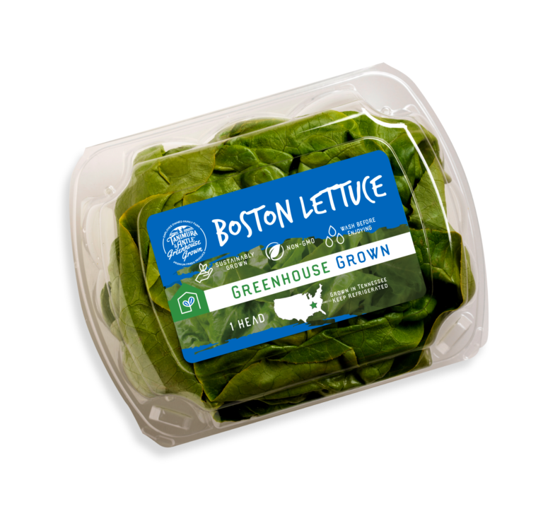 Boston Lettuce Tanimura & Antle