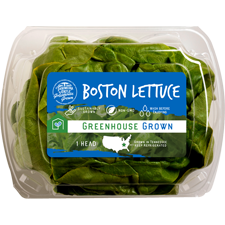 butter-lettuce-fe