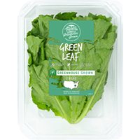 new-green