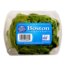 Boston-Lettuce-fe