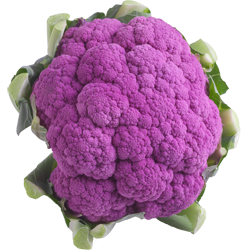 Colored-Cauliflower-fe