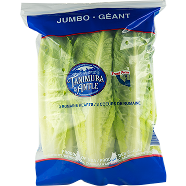 romaine hearts romaine hearts