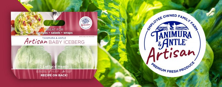 2022_0214_TA Artisan Baby Iceberg Retail Launch Website Header Feature Image