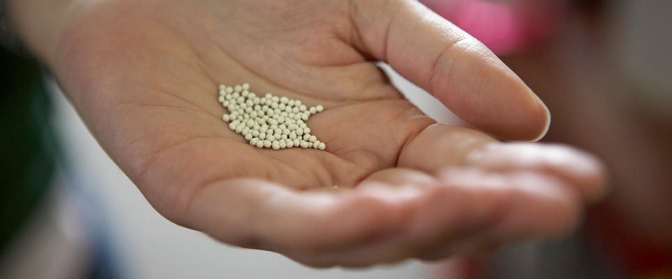 Seed Selection
