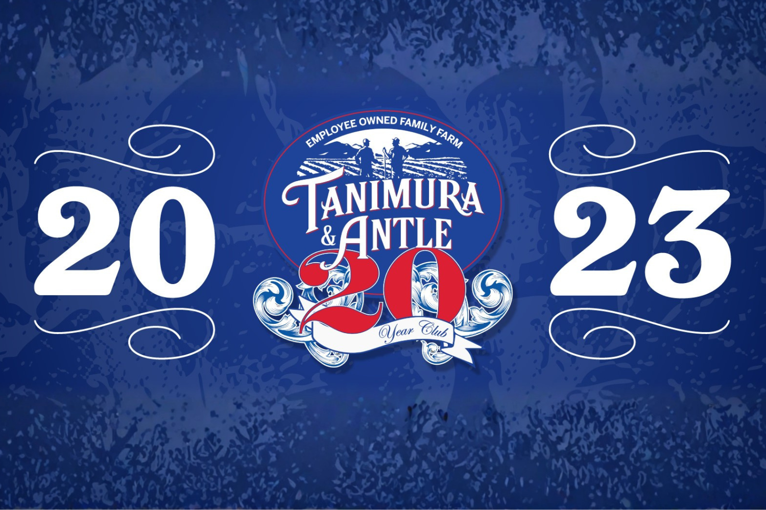 Tanimura & Antle Inducts 48 Employee Owners to Honored 20 Year Club