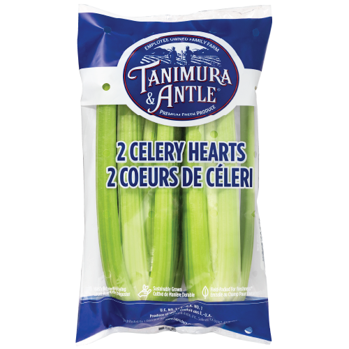 Iceberg Lettuce