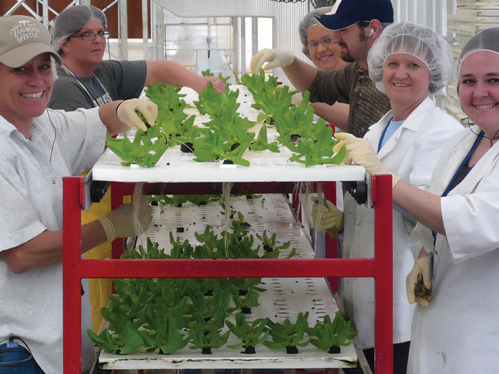 Greenhouse Grown - Investing Photo 3