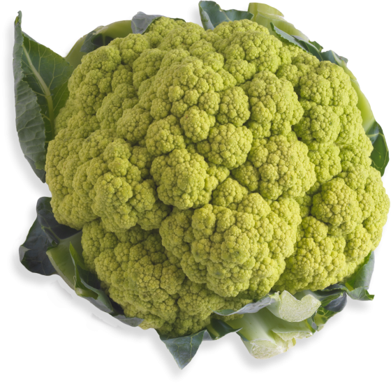 Colored-Cauliflower