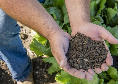 SoilHealth_Web SoilHealth_Web